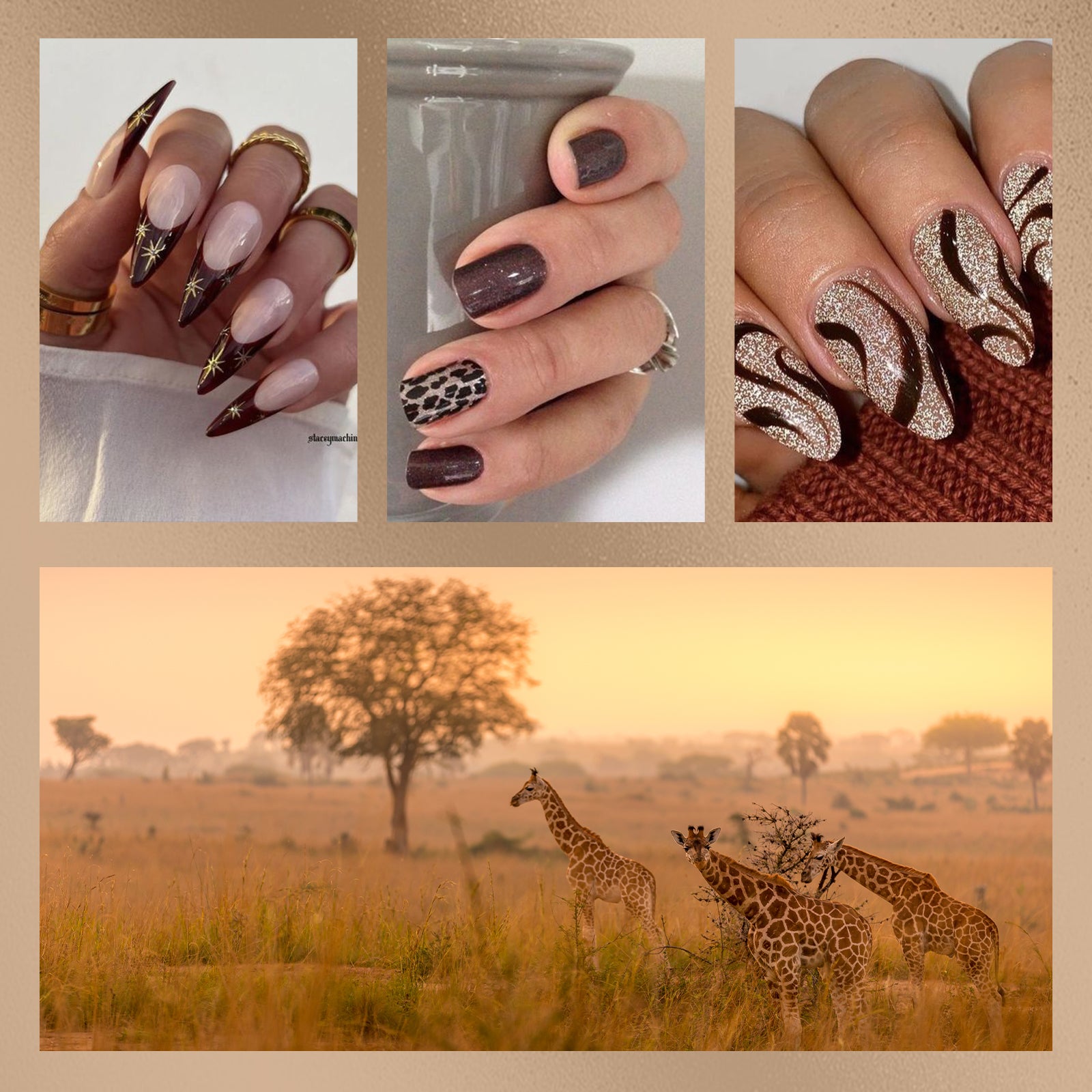 African Grassland 15ml TPO-Free Thick Gel Nail Polish - 4Pcs - 图片5