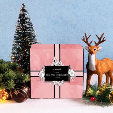 Christmas Holidays Gift Seasonal Scented Candle Set